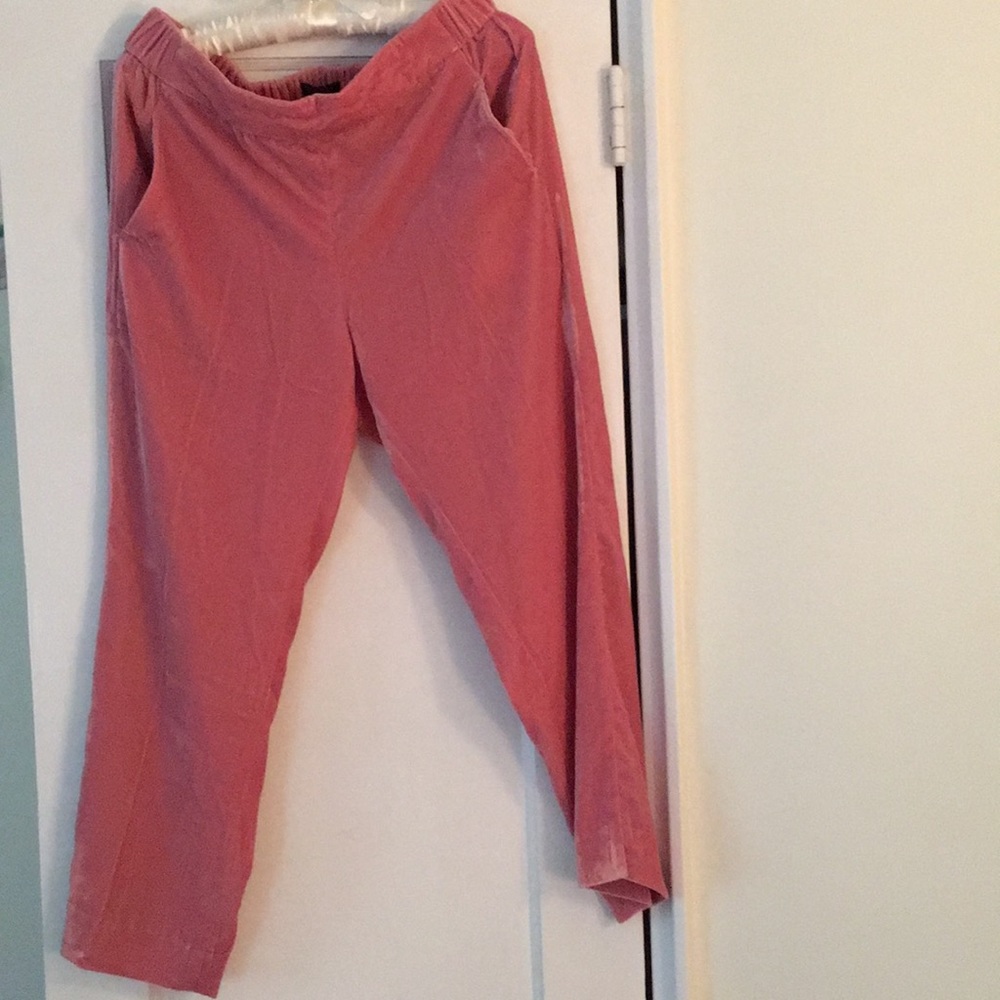 J Crew Pink Velvet Pants